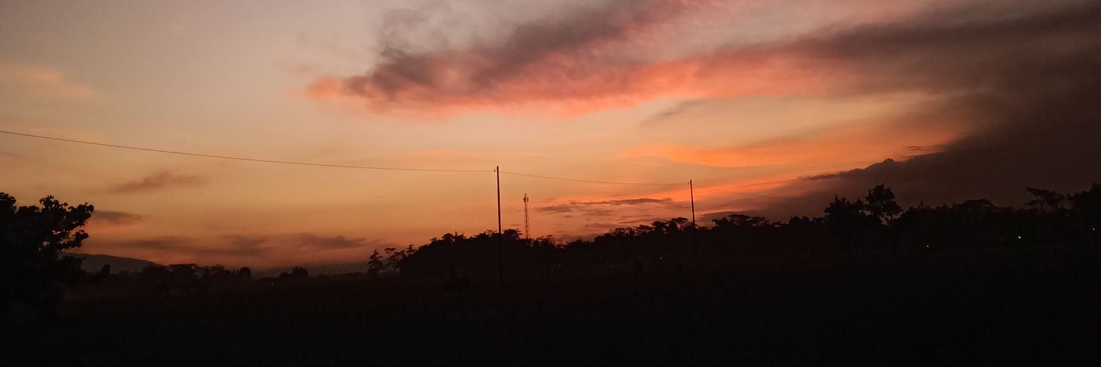 gordonbleuuu's profile banner image