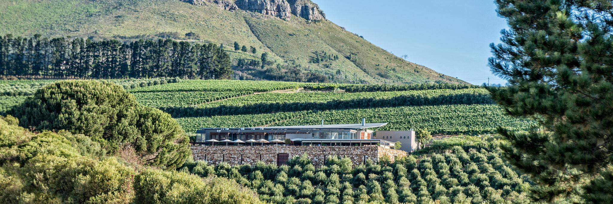 HVWines's profile banner image