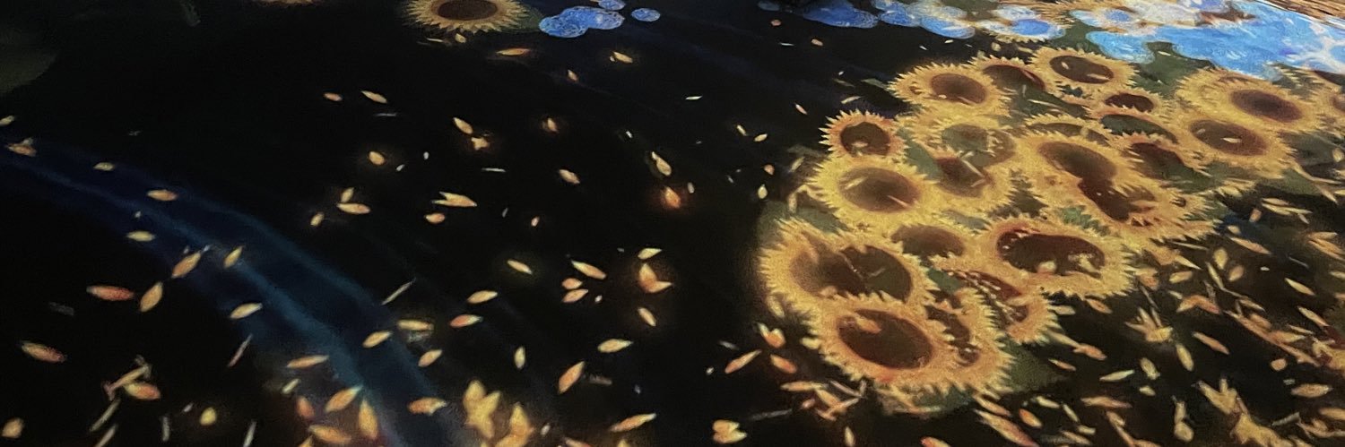 na__ppi0's profile banner image