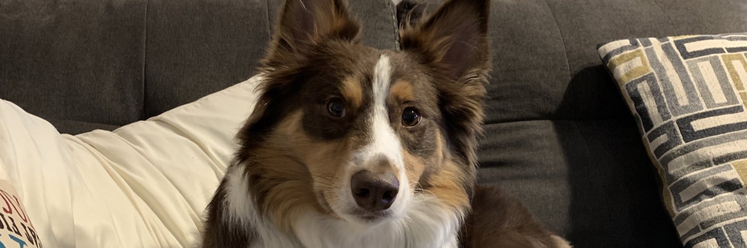 kyleborn464's profile banner image