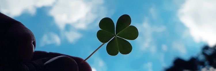xxpoee's profile banner image