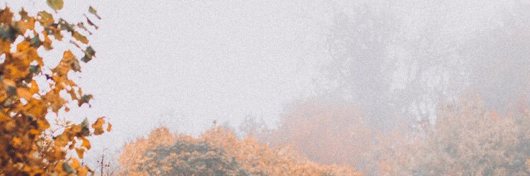 caroldanvers92's profile banner image