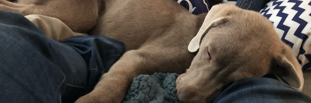 justinbunnell_'s profile banner image