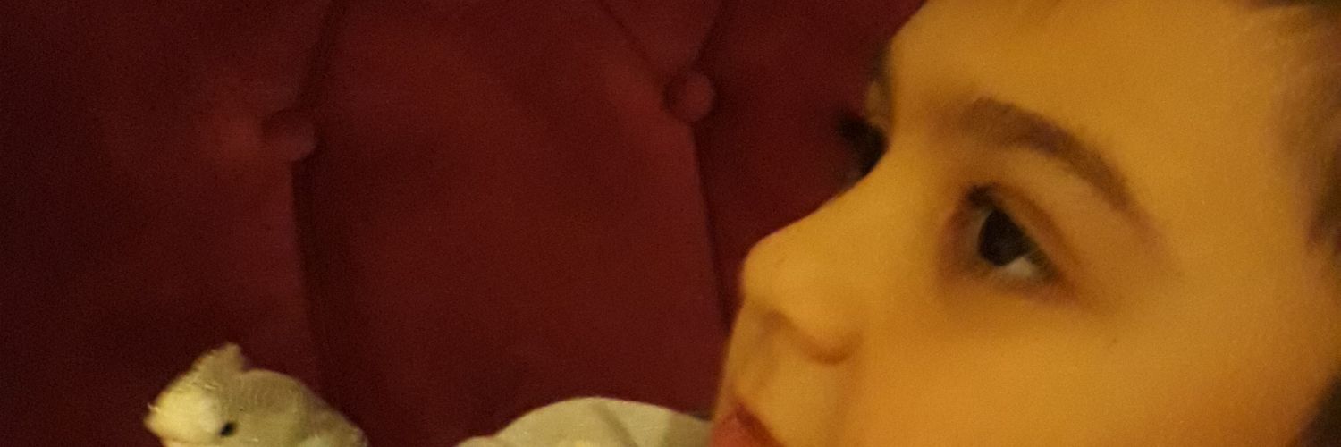 erdemcek's profile banner image
