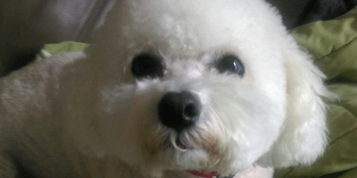 RitaCiatto's profile banner image