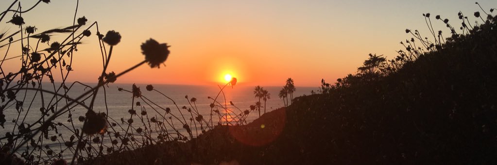 PauMarfull's profile banner image