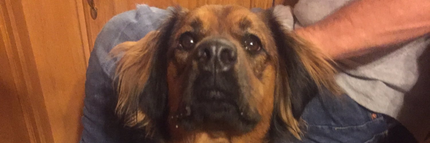 cmccomas_4's profile banner image