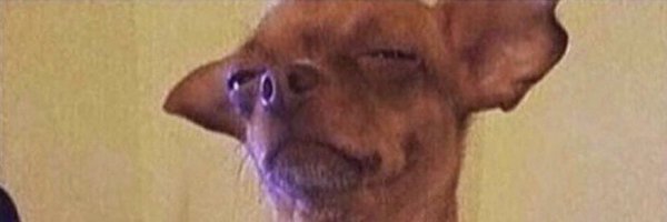 rub_en99 Profile Banner