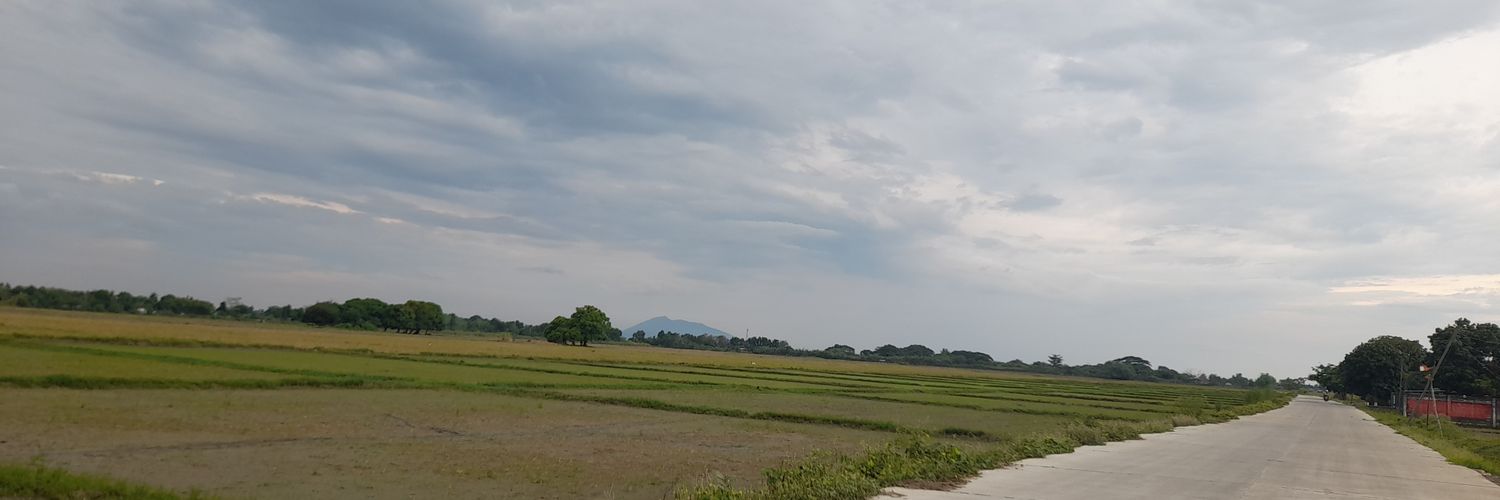 cnyalung's profile banner image