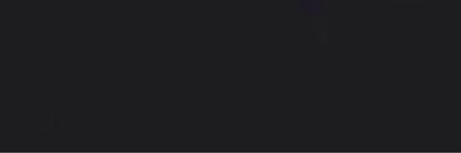 Louis banner