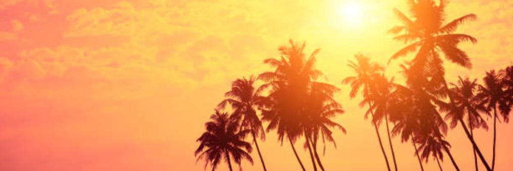 A_schling's profile banner image