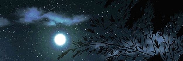Dragonex02's profile banner image