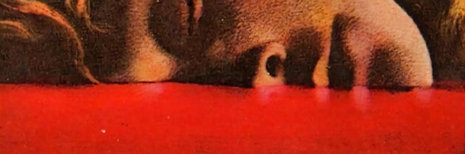 death2venus's profile banner image