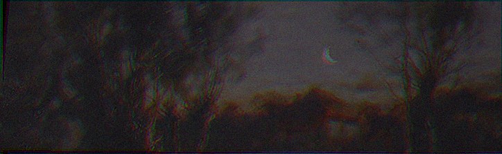 MichelleLedbet5's profile banner image