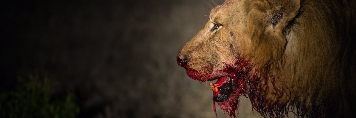nicksow's profile banner image
