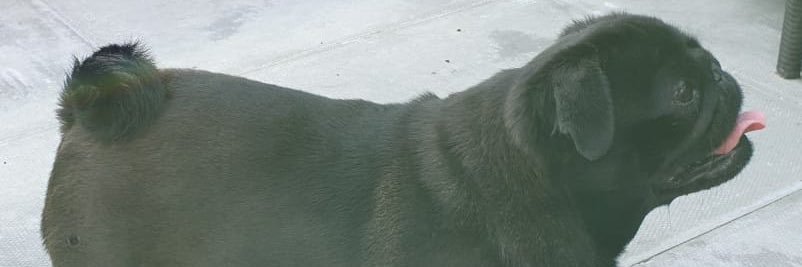 SimonJohnRobert's profile banner image
