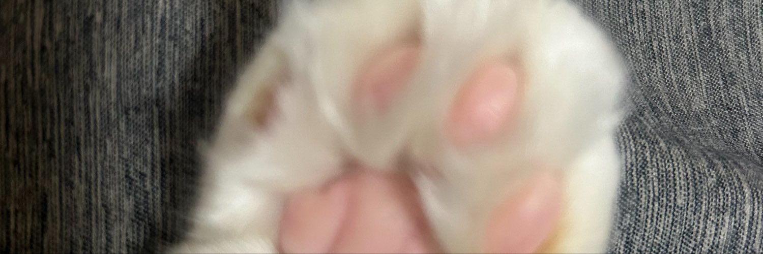 Lev1ry's profile banner image