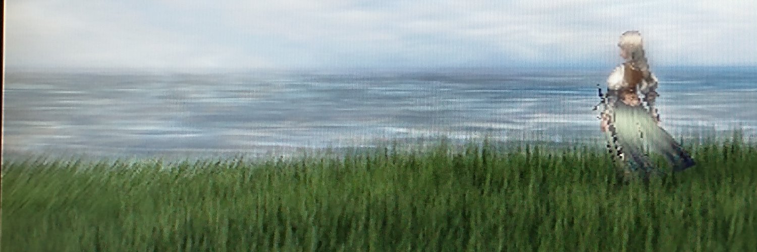 EmeraldFishy's profile banner image