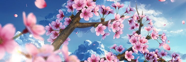 Kumoxi's profile banner image