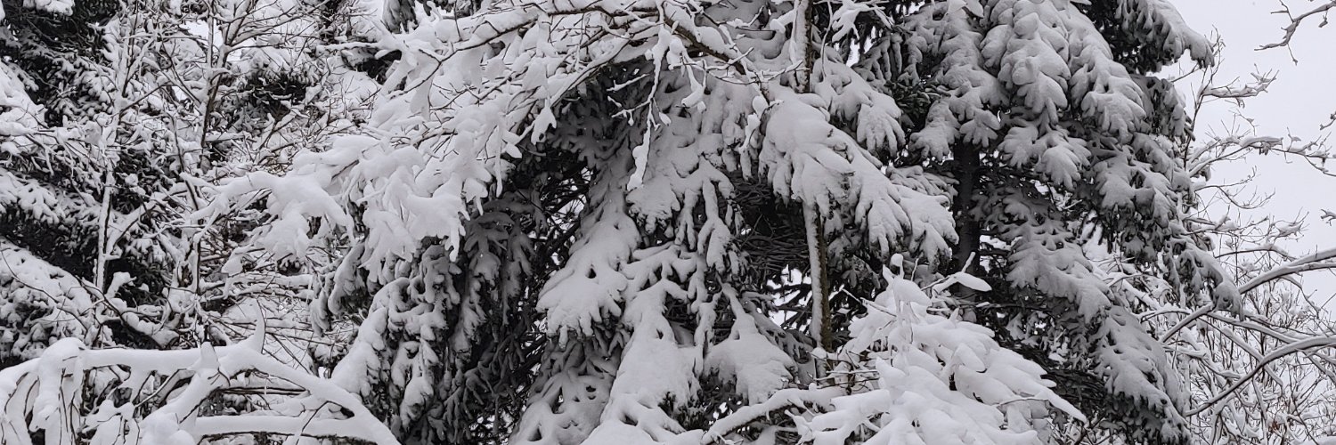 whort's profile banner image