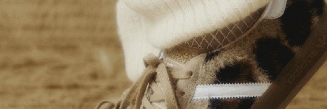 soxy banner