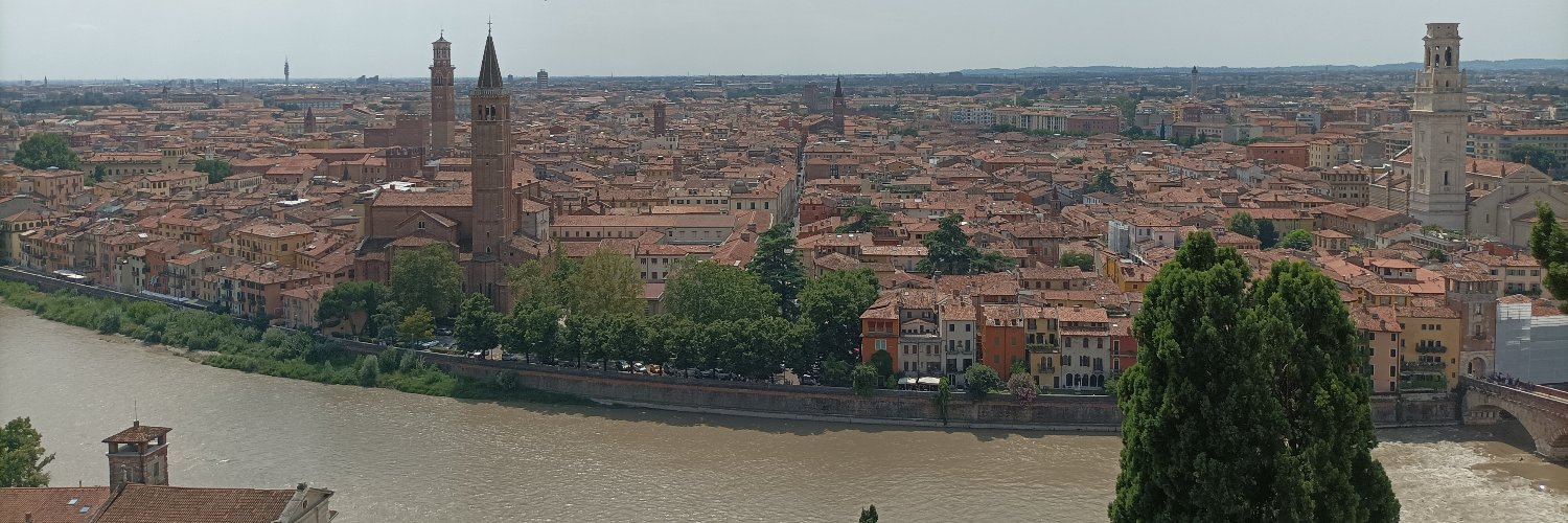 Alicia banner