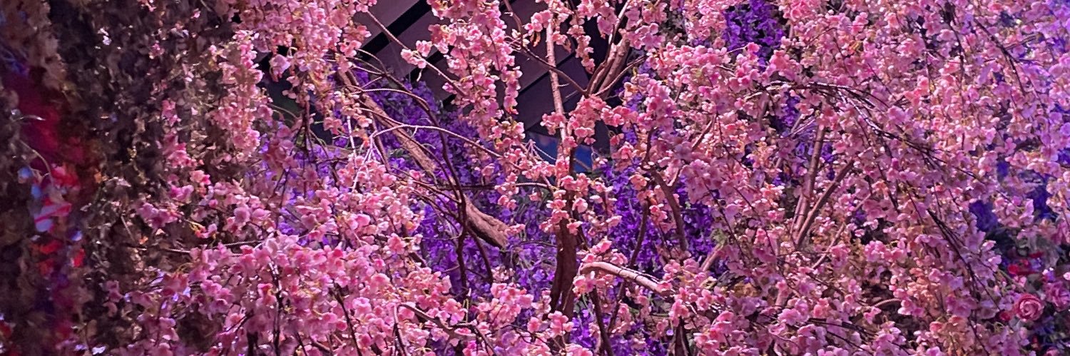 macho11014's profile banner image