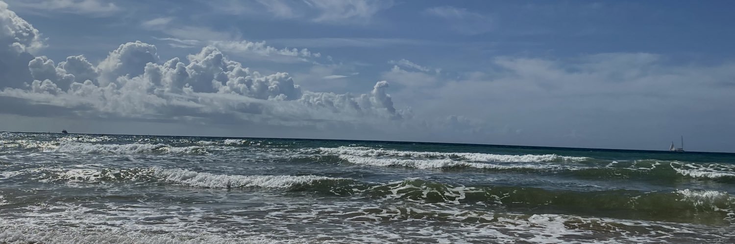liadourado_'s profile banner image