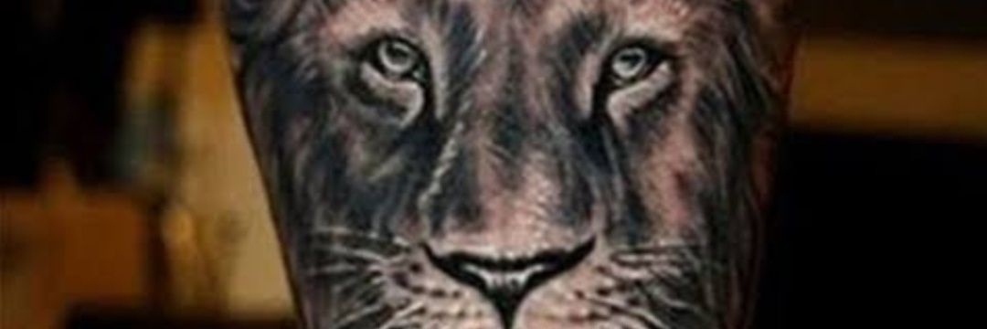 BhavinGaadhe's profile banner image