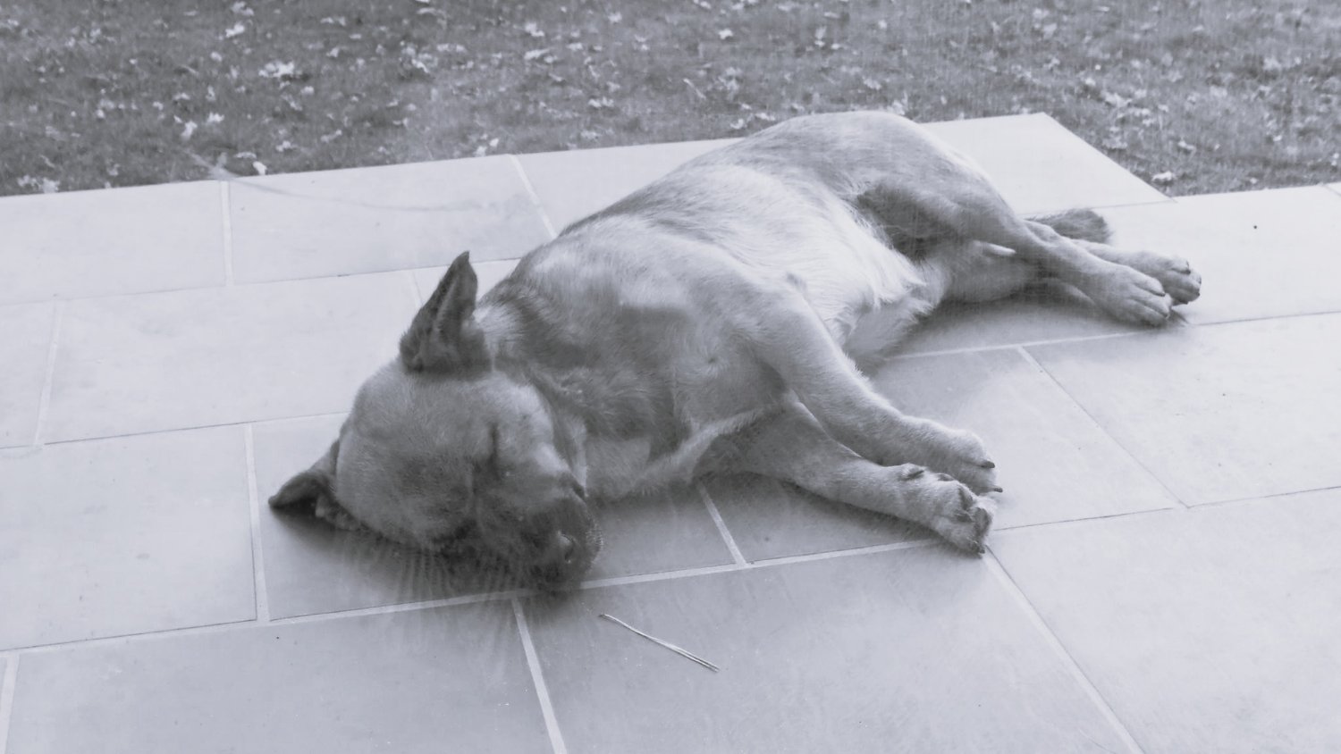 Jacek Okniński banner