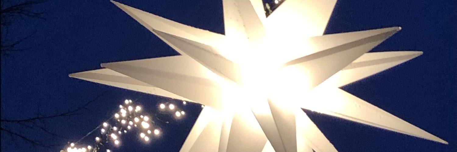 Elin R. Sigurdardóttir banner