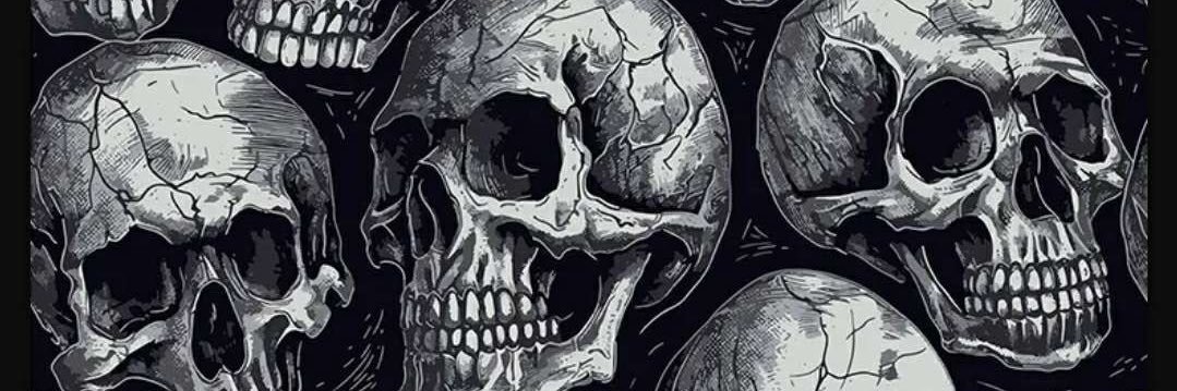 Gamer_B0y12's profile banner image