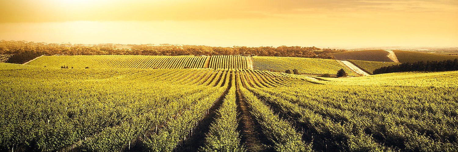 WinebowIL's profile banner image