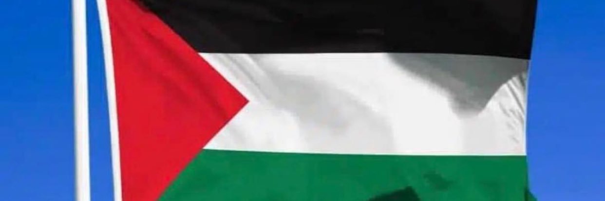 Yasserano11's profile banner image