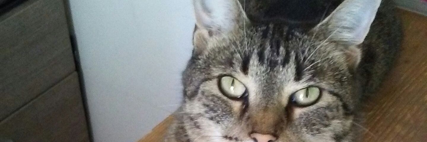 rickrick645's profile banner image
