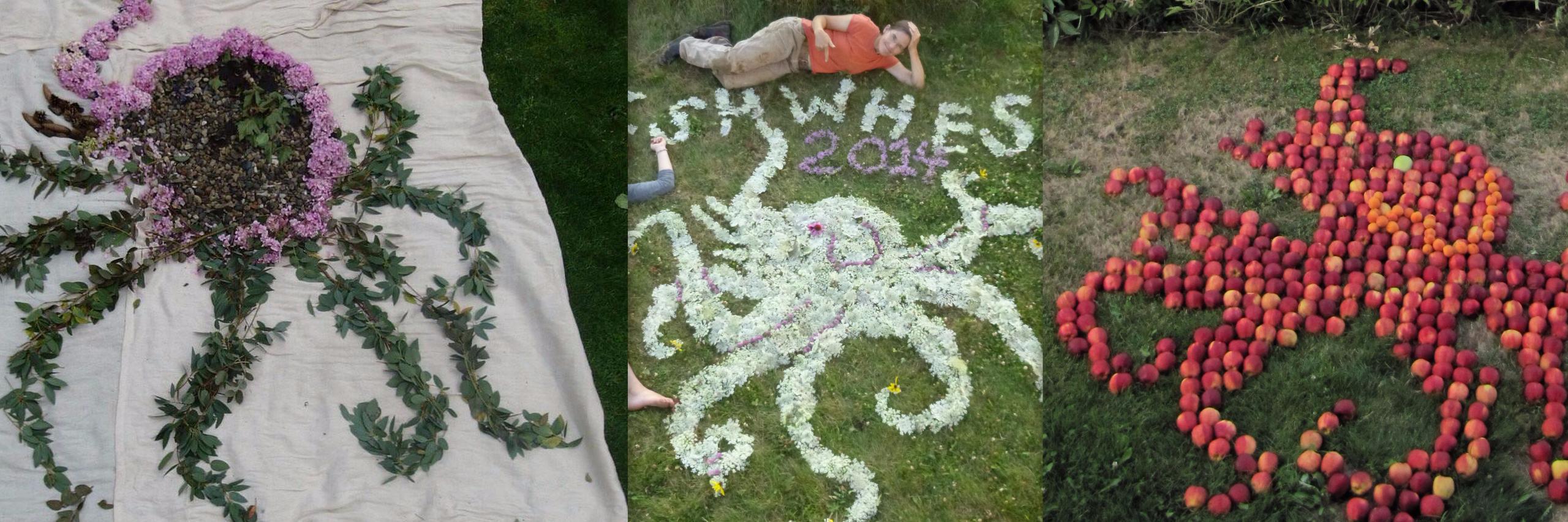 Elopus banner