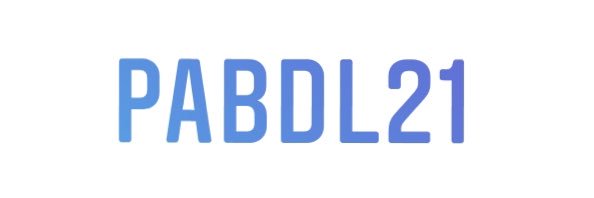 Robyndiaper banner