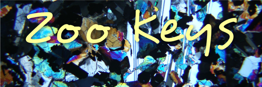 Zoo_Keys_'s profile banner image