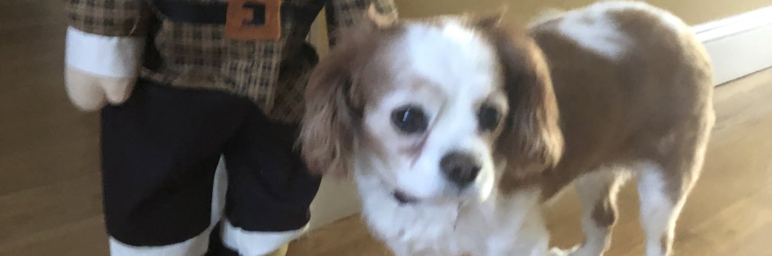 cuterthanjack's profile banner image
