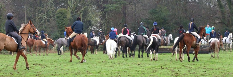 Piperstown Stables 🏇 banner