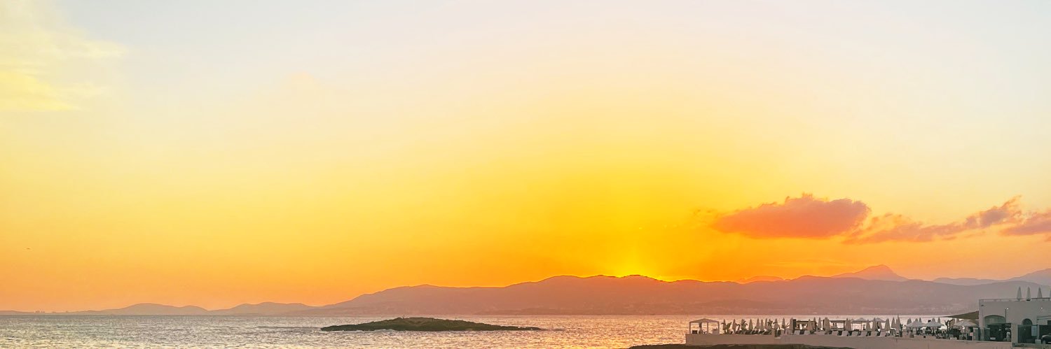 lauratwidale_'s profile banner image