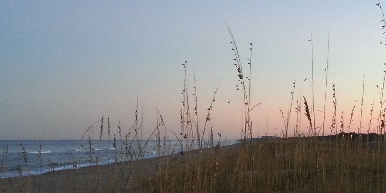 cathswilson's profile banner image