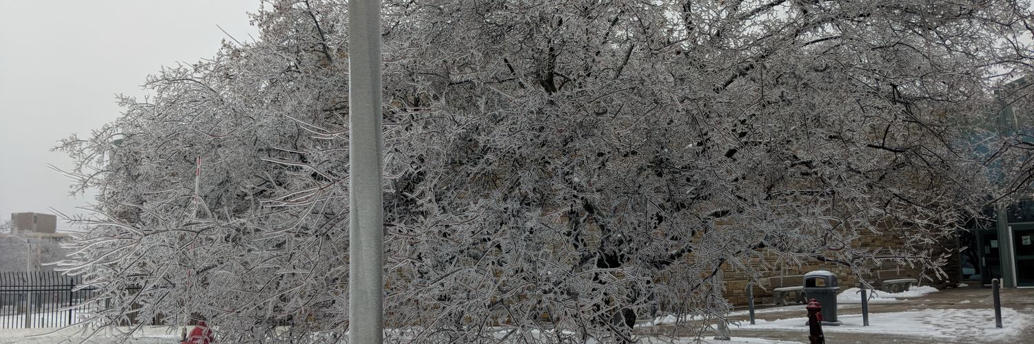 travusmayle's profile banner image