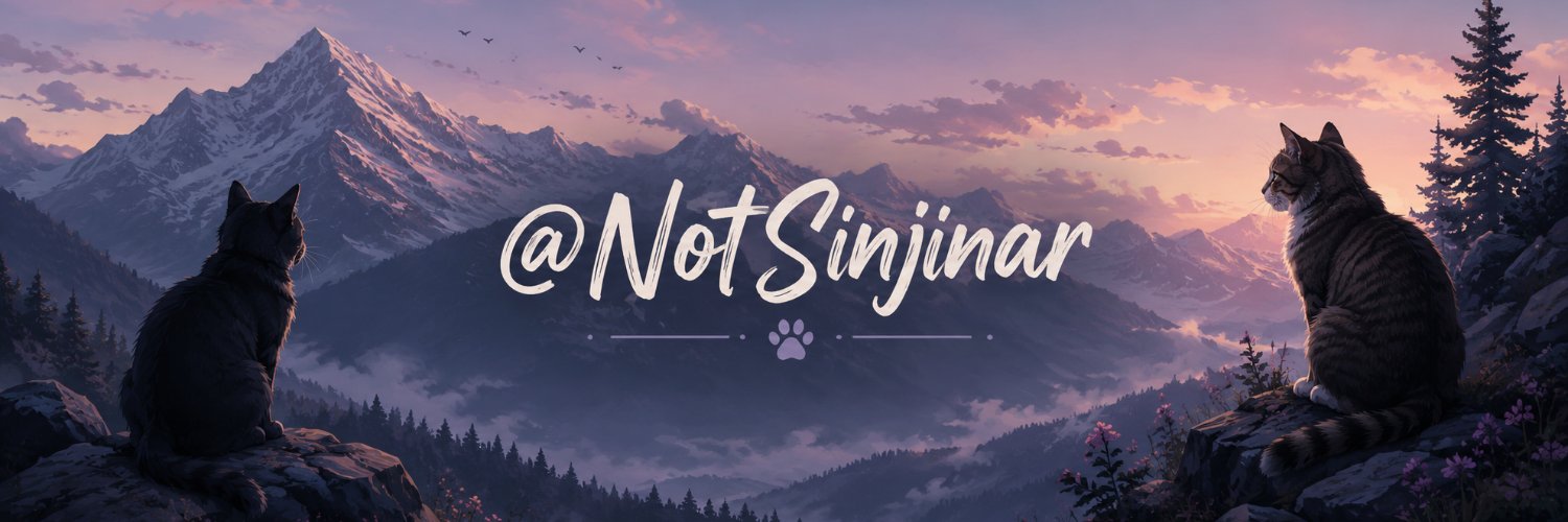 NotSinjinar's profile banner image