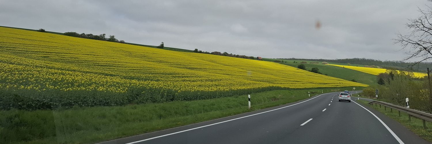 Brittiplatsch banner
