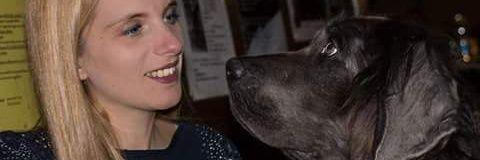 valegosli's profile banner image