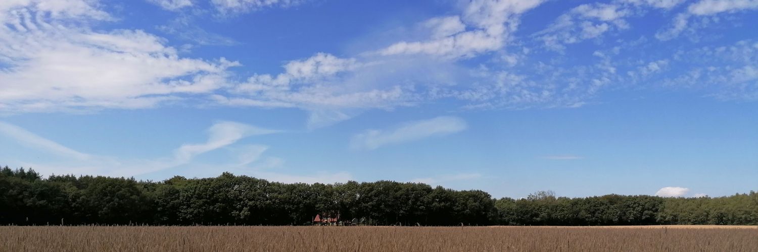 Adewale Adeniji banner