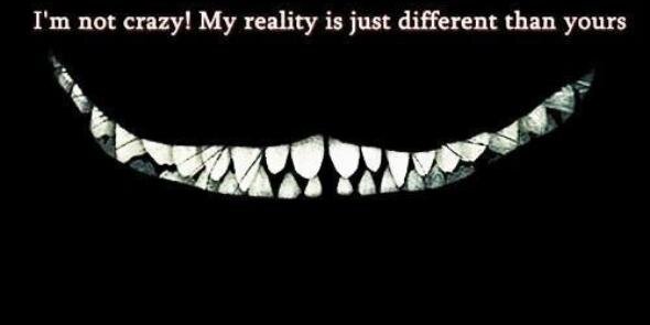 Me-dicen-perejil banner