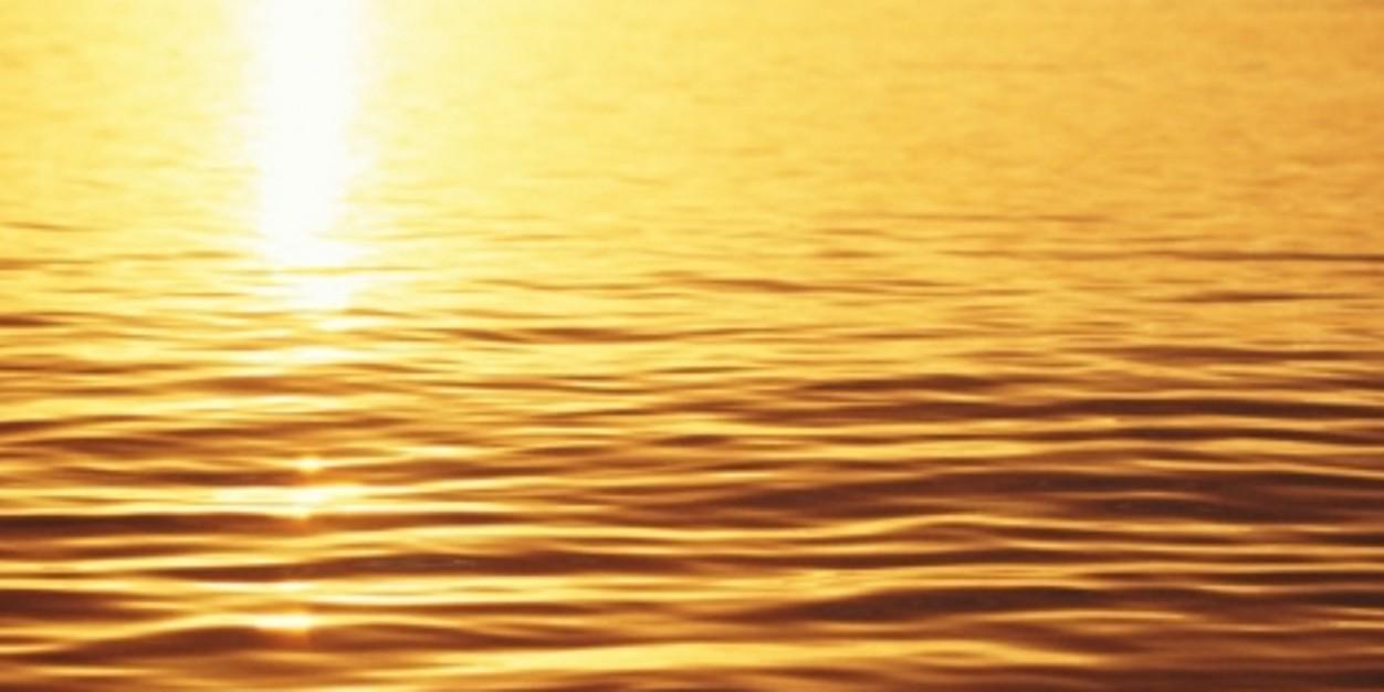 cecicucu's profile banner image