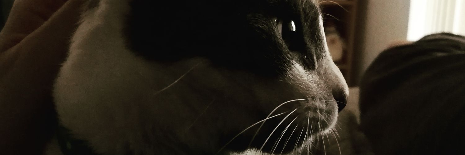 luisdrl89's profile banner image